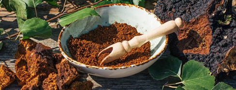 Gymnema Sylvestre